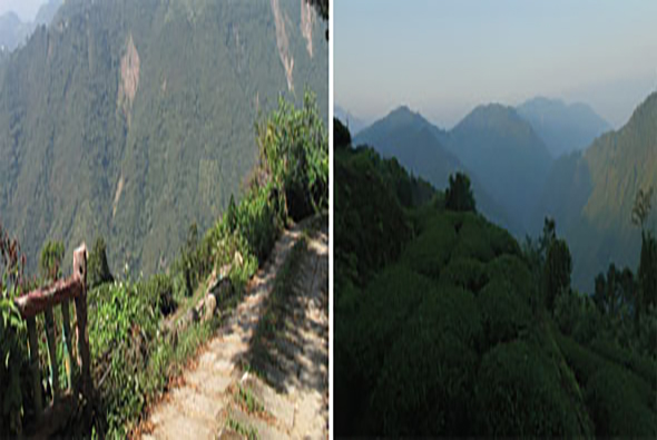 左圖：山區小徑沿著陡峭的樹木覆蓋山坡蜿蜒而上，木製欄杆沿路設置。右圖：遠眺層疊的青綠山峰，晨霧籠罩山谷，展現壯麗的山區風景。