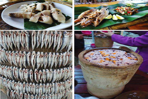 四張傳統美食照片：左上為白色盤中的蒸餃，右上為烤魚配檸檬，左下為曬乾的魚乾堆疊，右下為陶土碗裝的傳統甜點，展示各種傳統烹飪食材與料理方式。