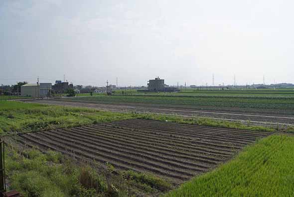 農村平原風景，前景為已耕作的黑色田壟整齊排列，右側為青綠色稻田，遠方為農舍、工廠建築與輸電塔，陰天天空籠罩整個景象。