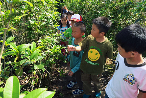 一群兒童在戶外綠色植物園區進行教育活動，穿著綠色和彩色衣服的孩子們聚集在茂密的灌木叢前，仔細觀察和學習植物知識，展現對自然環境的探索和興趣。