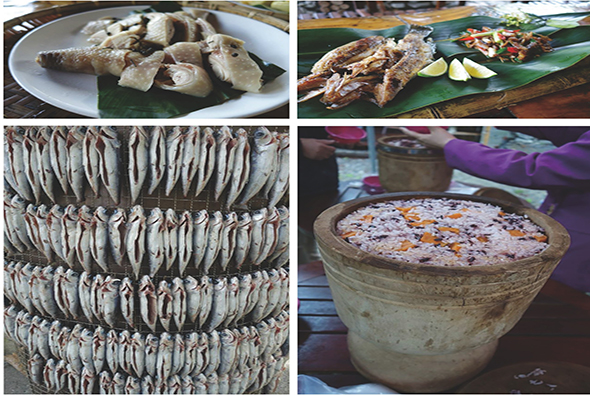 四張食物圖片展示東南亞美食：左上白盤裝盛的蒸餃或水餃；右上綠葉盤上的烤魚配檸檬和辣椒；左下多層竹盤堆疊的小魚乾；右下陶土碗中的米糕或糯米糕點，表面撒有堅果和配料。