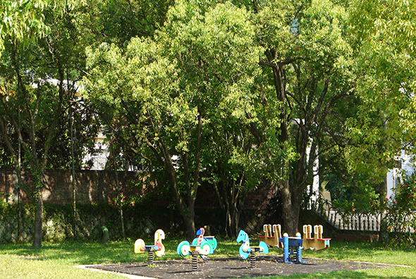 公園裡一群幼童在大樹下的遊戲區玩耍，周圍環繞著高大的樹木和綠色草坪。兒童正在使用各種彩色遊樂設施，享受戶外活動和遊戲時光。