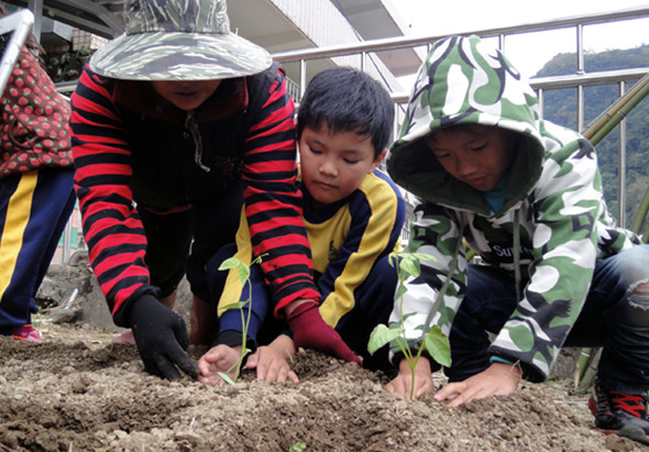 三名兒童在室外沙地上進行園藝活動。他們穿著彩色外套和帽子，彎身在沙土中種植或挖掘。背景可見建築物和欄杆。這是一個教育性的戶外學習活動。