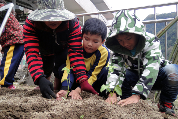 三名兒童穿著彩色外套，蹲在室內沙地上進行種植活動。左邊男孩穿紅黑條紋衣，中間男孩穿黃黑色衣，右邊女孩穿綠白迷彩衣。他們專注地用雙手在沙地上種植，背景可見大窗戶和室內環境。