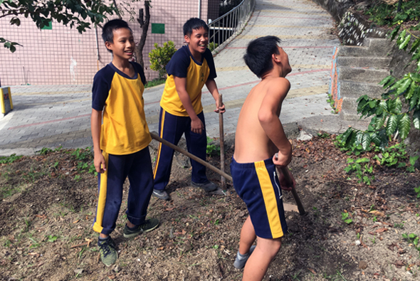 三名穿著黃藍色制服的男童在戶外空地進行挖土活動，手持鏟子，看起來在進行校園勞動或園藝課程。背景可見建築物和綠色植物。