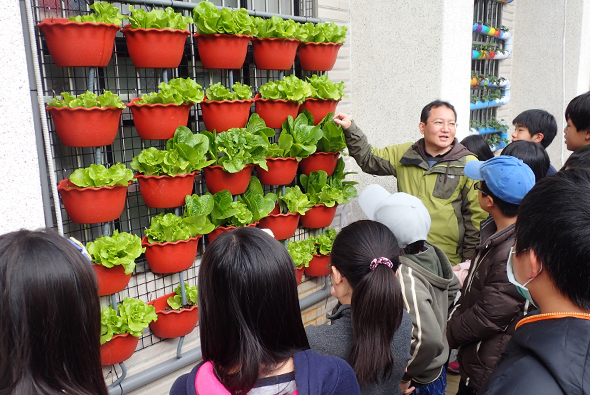 一名穿著黃綠色外套的男性講師，向一群學生展示垂直種植系統。紅色花盆整齊排列在黑色網架上，種植著綠色生菜。學生們圍聚觀看，認真聽講，背景為白色建築牆面和書架。