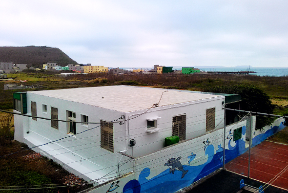 冰島一所現代建築風格的白色單層學校建築，配有藍色波浪裝飾。周圍為開闊的草地和遠處的彩色住宅區，背景可見山峰和海岸線。