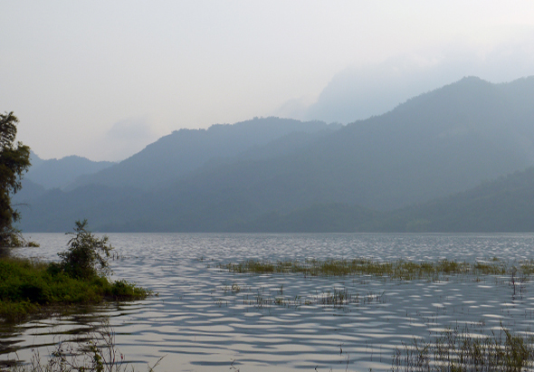 平靜的湖面倒映著天空，前景有水生植物，遠處層層疊疊的青山在晨霧中若隱若現，左側岸邊有綠色植被，整體景象寧靜祥和。