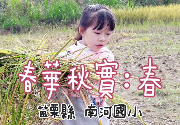 一位穿著粉色上衣的小女孩在稻田邊彎腰查看水稻，背景為金黃色的稻穗。圖片標題為「豐華秋實：春」，下方標註「魚樂鎮 南河國小」，呈現秋收農事教育活動的情景。