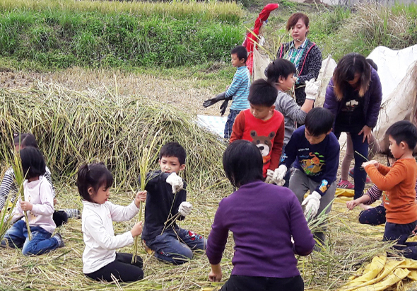 一群小學生在農田裡進行農業學習活動，他們蹲坐在地上觀察植物，老師站在後方拿著農具指導，孩子們穿著校服認真聆聽，背景是綠色稻田和草叢，展現戶外教育場景。