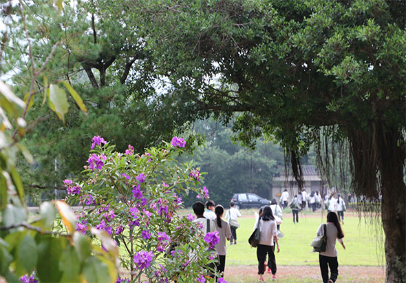 公園中紫色花卉盛開，背景是參天大樹和垂柳。遠處草坪上多位民眾散步遊憩，享受戶外休閒時光。陽光灑落，營造寧靜祥和的公園景象。