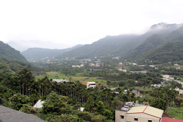 山區鄉村景觀，前景為紅瓦房屋，中景為棕櫚樹環繞的農田和散落民居，背景為層疊青山，山谷間可見溪流，整體呈現台灣南部山區典型的農業聚落風貌。