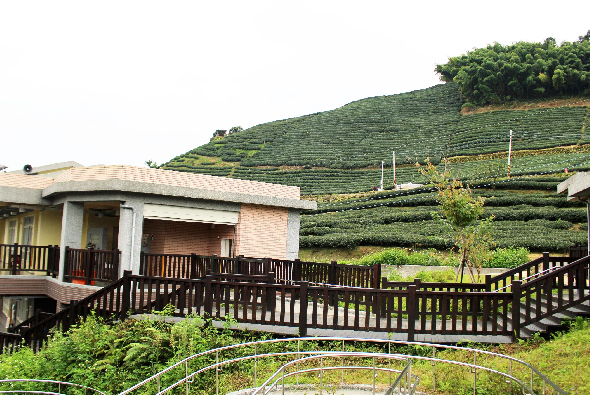 山坡上的農舍，白色建築配木製欄杆露台，背景是層疊的綠色茶園或農作物田地，前景有灌溉設施，展現鄉村農業景觀。