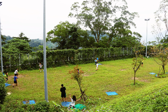 綠色草坪上，多位參與者在進行戶外種植活動。他們圍繞著幾棵新種的樹木，鋪設藍色塑膠布進行養護。背景有鐵製圍籬、街道燈柱和茂密樹林。這是一場社區或學校的環保植樹活動。