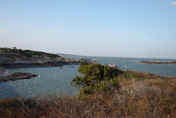 地中海沿岸風景，清澈蔚藍海水映襯岩石海灘，前景為枯黃灌木叢，遠處可見海邊城鎮建築群，晴朗天空下呈現寧靜的海灣景致。