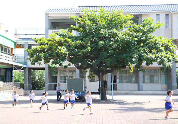 學校操場上，多名穿著藍白色運動服的學生在大樹下奔跑活動。背景是數層樓高的校舍建築，前方有走廊和欄杆。晴朗的天氣下，孩子們進行戶外體育活動。