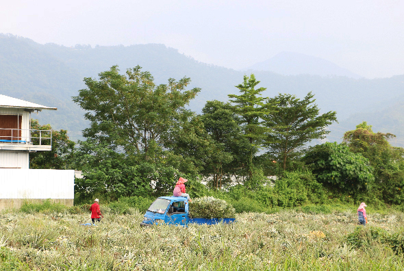 群山环绕的乡村草地上，几名儿童在蓝色充气城堡周围嬉戏玩耍，左侧有白色建筑物，远处山峦叠翠，呈现宁静的乡村儿童游乐场景。