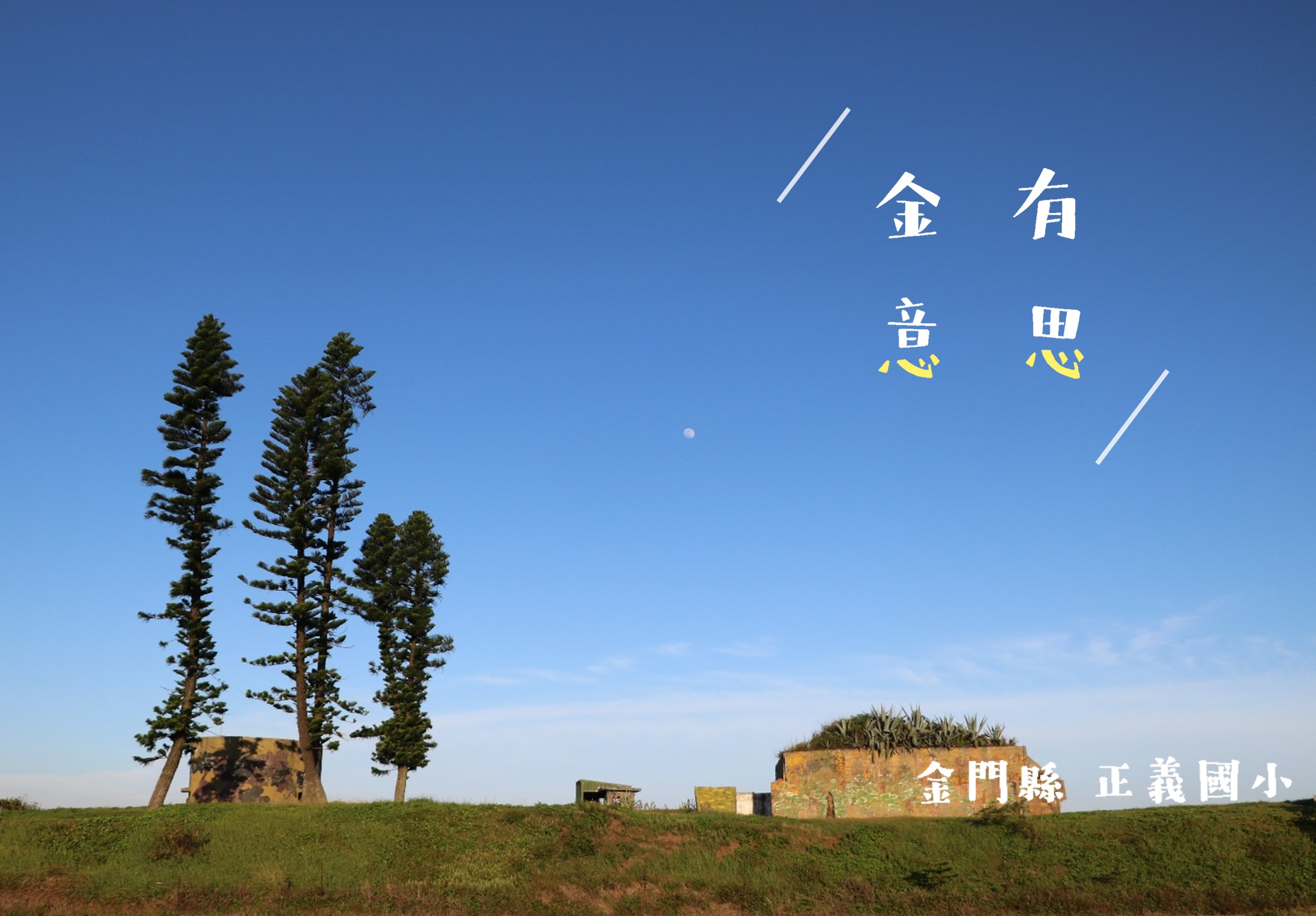 金門縣正義國小校園風景，廣闊綠地上矗立著三棵高大松樹，遠方可見學校建築和月亮，天空蔚藍清朗。校名文字標示於右下角。