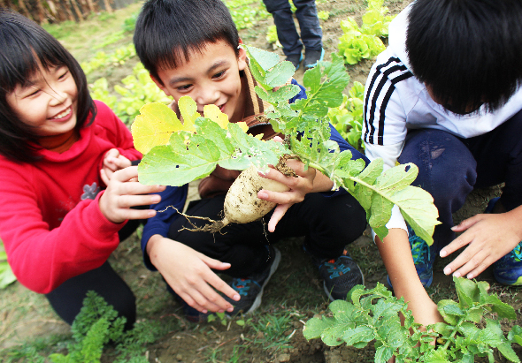 三名兒童蹲在菜園中，開心地展示剛挖出的蘿蔔。他們穿著紅色和藍色衣服，手中拿著帶著泥土和綠葉的蘿蔔，臉上洋溢著收穫的喜悅。這是一場戶外農業教育活動。