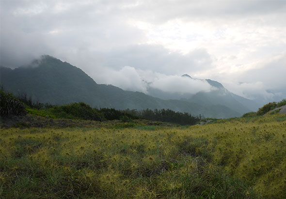 遼闊的草地前景，遠方聳立著被雲霧籠罩的山脈。天空陰沈多雲，山峰若隱若現，綠色植被覆蓋山麓和平原，呈現寧靜的高山草原景致。
