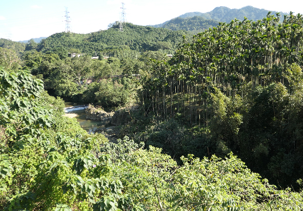 山林風景，青翠的森林覆蓋群山，溪流蜿蜒流經谷地，遠方可見高聳的電塔和山峰。陽光灑落在茂密的樹木上，呈現生機勃勃的自然景象。