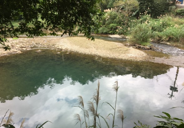 溪流風景，清澈的翡翠綠色溪水映照著藍天白雲，沙灘邊有樹木遮蔭，前景有蘆葦草叢，背景山坡綠意盎然，自然生態優美。