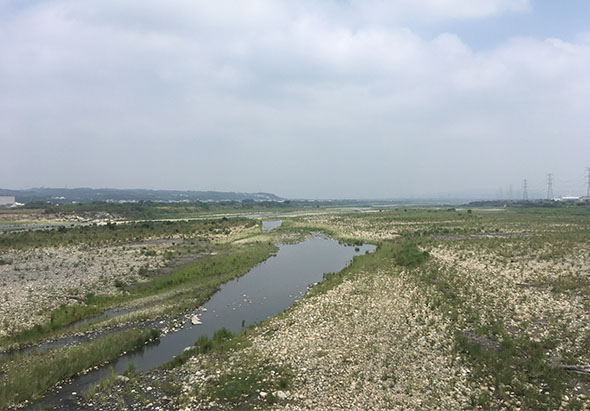 寬闊的河流蜿蜒穿過滿布石子的平原，兩岸長滿綠色植被。遠方可見輸電塔和綠色農田。天空雲層厚重，光線柔和。河道清晰可見，周圍是典型的河灘地貌。