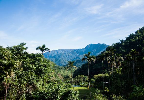 熱帶山谷風景，茂密綠色植被和高聳棕櫚樹環繞青翠草地，遠方藍色山脈矗立，晴朗天空中飄浮白雲，呈現自然生態美景。