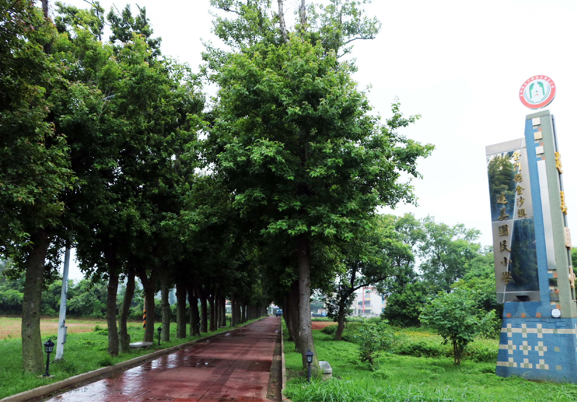 雨後的林蔭步道，兩旁高大樹木列隊成行。紅色路面濕潤反光，遠方可見藍白色建築物及紅色圓形標誌牌。綠草地上散布路燈，營造寧靜的公園景象。