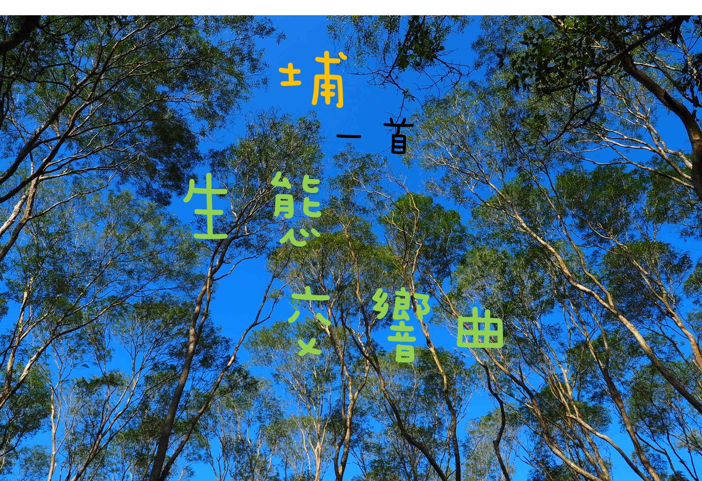 仰望天空的桉樹林，清藍天空襯托下呈現蒼翠樹冠。黃色和綠色中文字體疊層顯示「土南一首」「半思」「又見塵世」等文字，創造詩意的視覺效果。