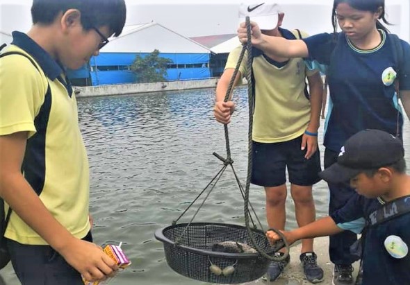 一群穿著黃色和深藍色制服的學生在水邊進行水產養殖教學活動。中央學生舉起裝有魚苗的漁網，其他學生圍觀。背景可見藍色養殖池和建築物，展示戶外教育與水產養殖實踐課程。