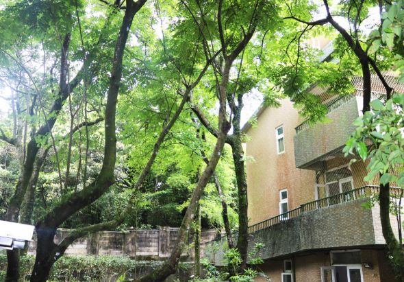 茂密的綠樹林蔭下，一棟紅磚建築隱於其中。建築物有多層樓、陽台和窗戶，被高大的樹木環繞。陽光透過樹葉灑落，營造出寧靜的自然環境與建築物和諧共存的景象。