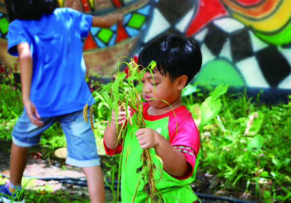 一名穿著綠色上衣的小男孩在戶外菜園中，雙手握著剛拔起的蔬菜，臉上露出開心的笑容。身後穿著藍色衣服的另一名孩童也在參與農業活動。背景有彩色的塗鴉牆和綠色植物，呈現充滿生活力的戶外教育場景。