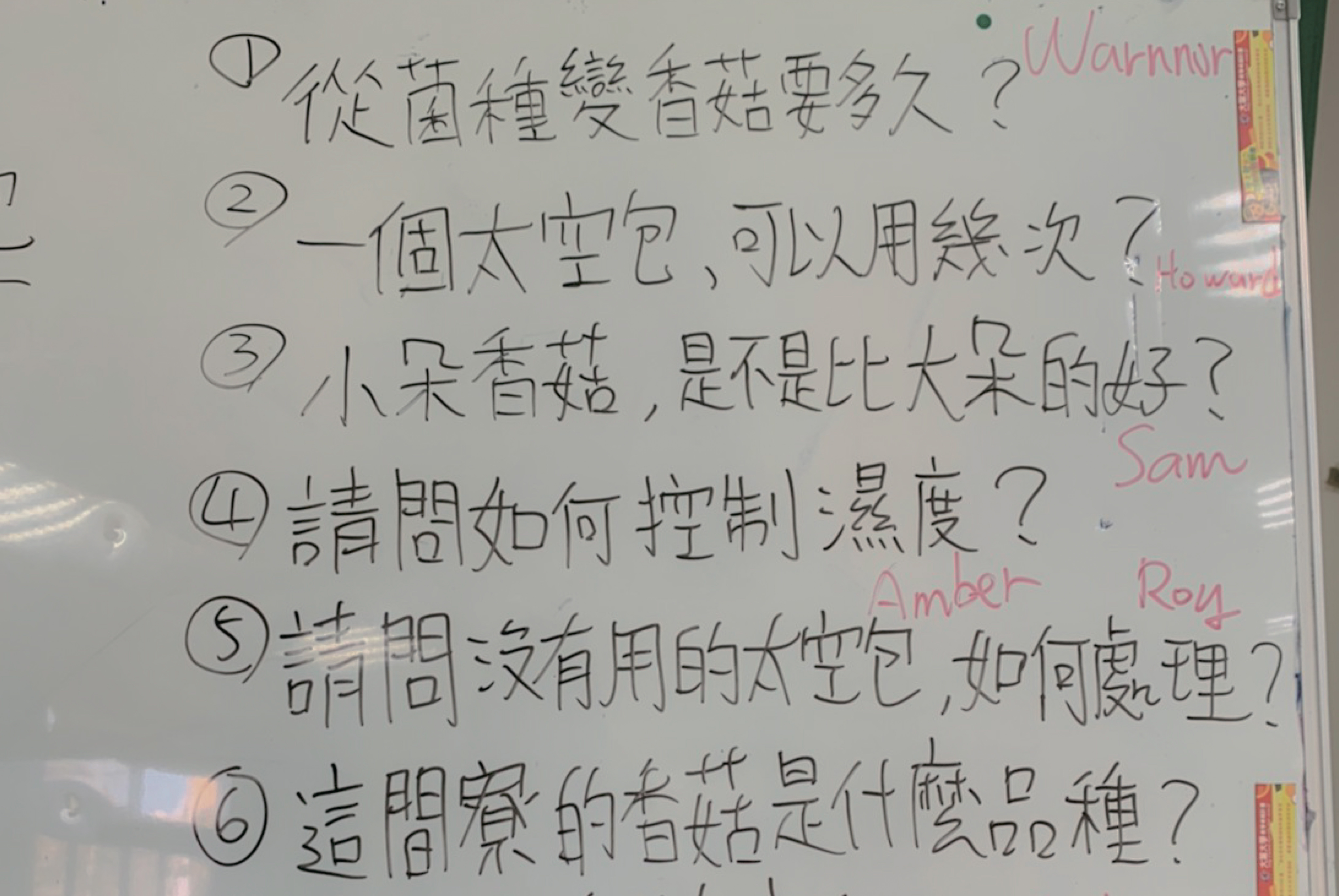 text3