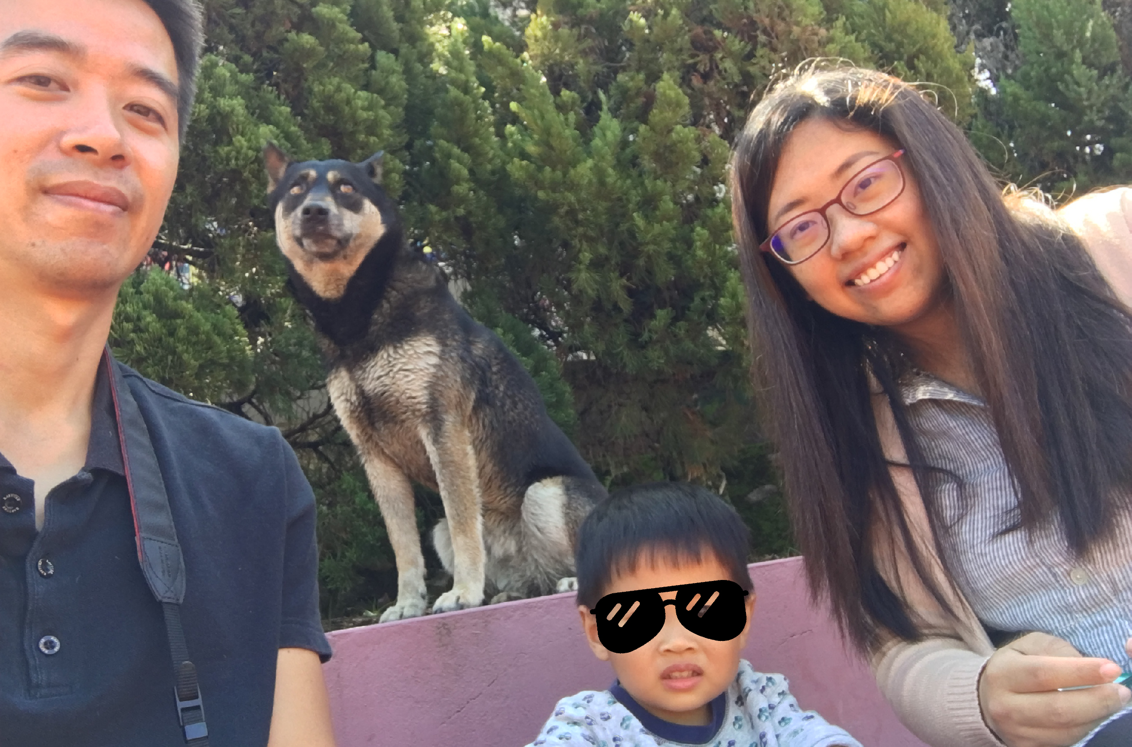 一家人與黑白相間的大型犬隻合照。左側是成年男性，中央是戴著墨鏡的小男孩，右側是戴眼鏡的年輕女性，背景是綠色植物。狗隻站在紅色平台上，張開嘴巴看向鏡頭。