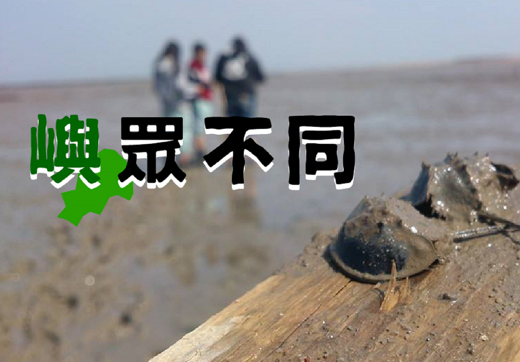 海邊潮間帶的木樁上停著兩隻黑色貽貝，背景有幾位遊客在灘地遊玩。左上角有綠色山西省地圖和黑白文字「豐京木圓」的宣傳標誌，呈現當地海洋生態旅遊主題。