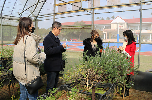 四位訪客在溫室內參觀植物展示，女性穿著紅色外套，男性穿著黑色西裝，他們正在觀看和討論溫室內種植的橄欖樹等植物。背景可見運動場和建築物。