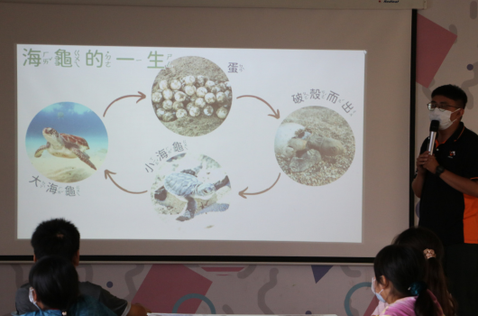 教室內進行海龜生命週期教學，投影幕上展示海龜的一生流程圖，包含海龜、海龜蛋、孵化和成體等階段，右側站立的講者正用麥克風向坐在前方的學生解說。