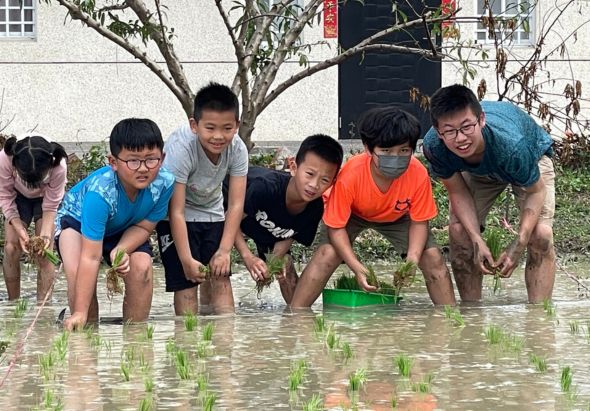 六位穿著不同顏色衣服的學生在水田裡彎腰插秧。他們面帶笑容，展示農業勞動體驗活動。背景可見建築物和樹木。