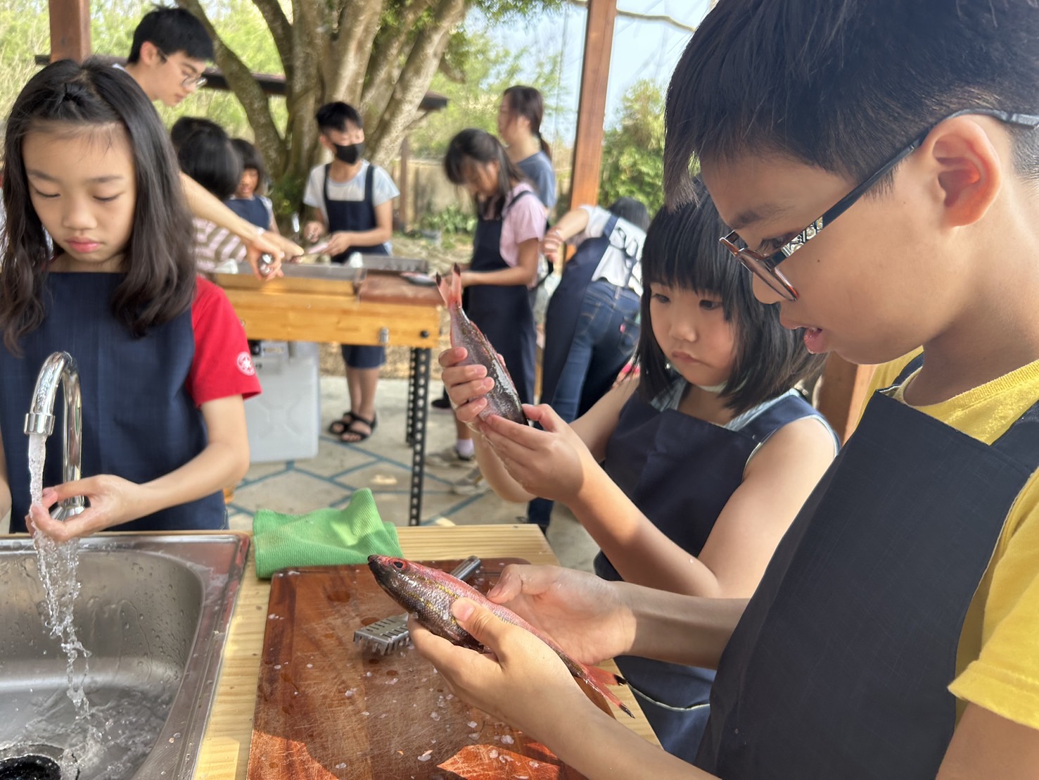 戶外教育活動中，穿著黑色背心的男孩仔細檢視手中的魚，旁邊女孩用刷子清洗另一條魚。多位學生圍繞在木製工作台周圍，在樹蔭下進行水生生物觀察實驗。