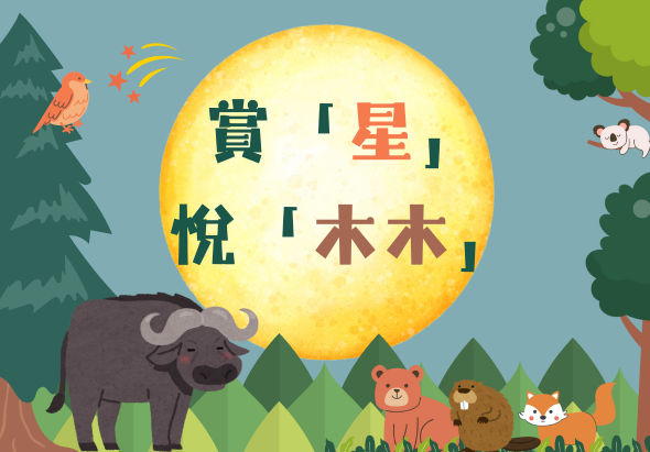 中秋節主題插畫，大圓月背景寫著「賞『星』悅『木木』」，月下森林中有水牛、熊、兔子、松鼠等動物，左側有紅鳥和樹木，右上角有小猴子，整體色調溫暖柔和。