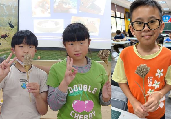 三名小學生在教室內展示他們採集的植物標本。左邊女童穿著米色上衣，中間女童穿著綠色上衣，右邊男童穿著橙色上衣。身後投影幕展示昆蟲圖片，教室可見其他同學。