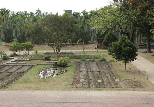 公園內菜園區景象，前景為耕作的田地和圓形水池，四周種植高大棕櫚樹和喬木，背景可見建築物，紅磚步道沿邊，綠草如茵，為城市內的休閒農業園區。