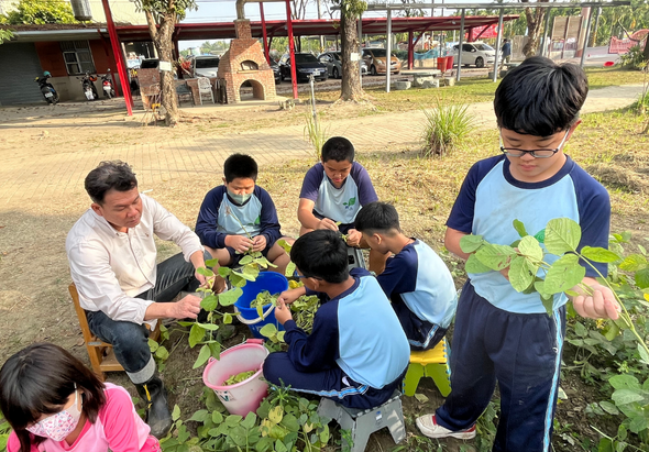 一群學生和成人在校園菜園進行戶外教學，圍繞著蔬菜植物，共同學習農業知識。師生們手持藍色容器和工具，在沙地上觀察和採收植物，進行互動式的自然教育活動。