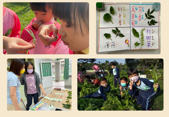 四幅兒童戶外學習活動照片集合：左上孩童在草地上觀察花朵，右上為植物葉片標本卡和中文字卡，左下兩位學生研究植物圖冊，右下多位學生在菜園中合力展示收穫的蔬菜。記錄學生親近自然、探索植物的教育活動。