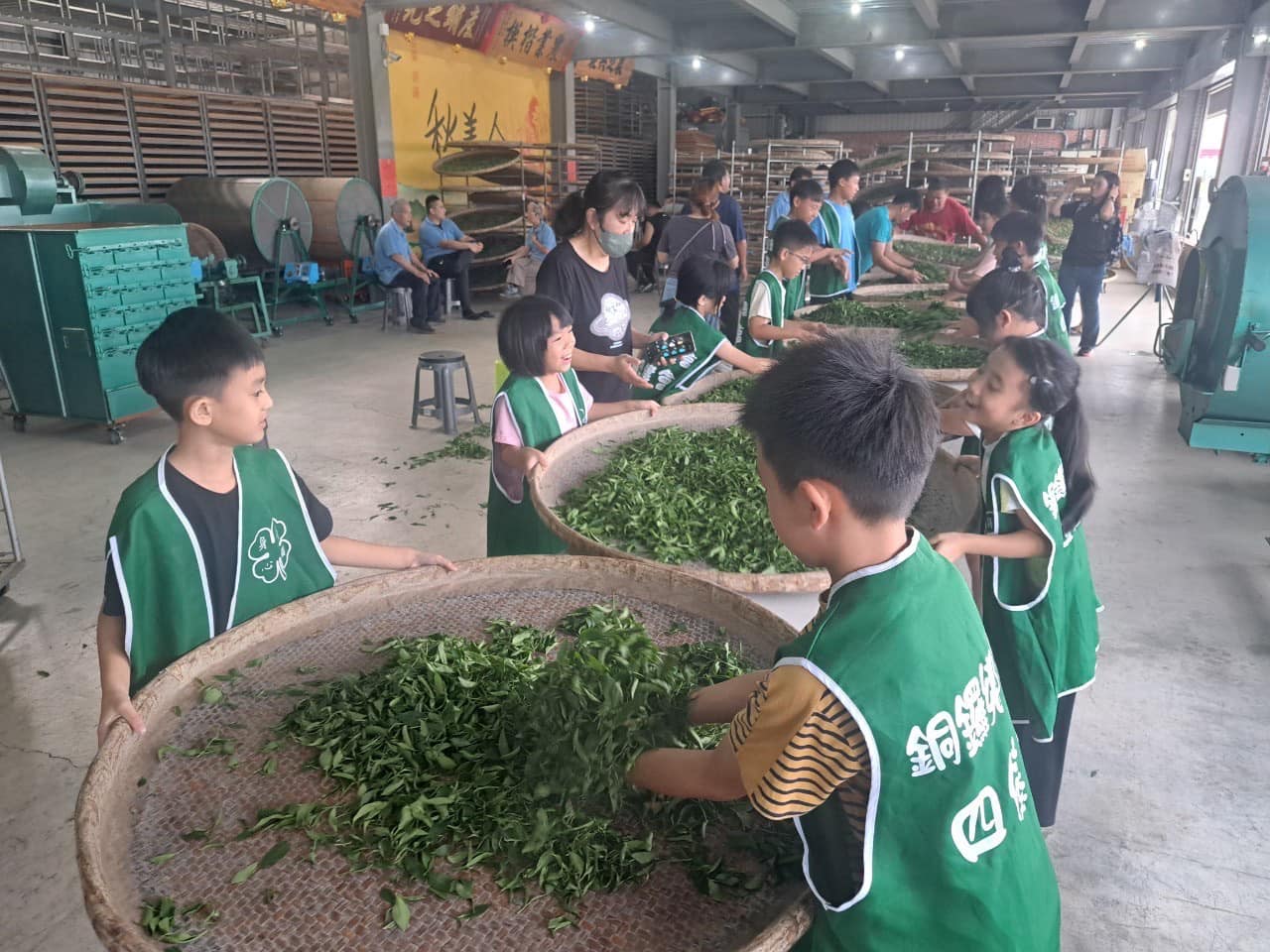 一群穿著綠色背心的學童在室內工廠參與茶葉製作體驗活動。他們圍著大竹篩，用手翻攪新鮮茶葉。背景可見成人指導員、烘乾機械設備和黃色中文書法掛畫。這是一場實踐性的茶葉加工教育活動。