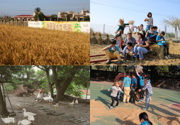 四幅鄉村教育活動照片：左上為成熟麥田與村莊建築，左下為樹下放養的鵝群，右上為兒童在草地上進行團體活動，右下為孩子們在彩色操場上運動遊戲。呈現鄉村生活與兒童教育場景。
