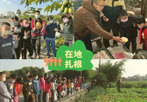 在地扎根」主題活動照片集合。上圖：師生在菜園採收蔬菜。中圖：成人指導兒童進行農產品處理。下圖：大群學童在田間排隊參與農業體驗活動。呈現學校推動在地農業教育的實踐情景。