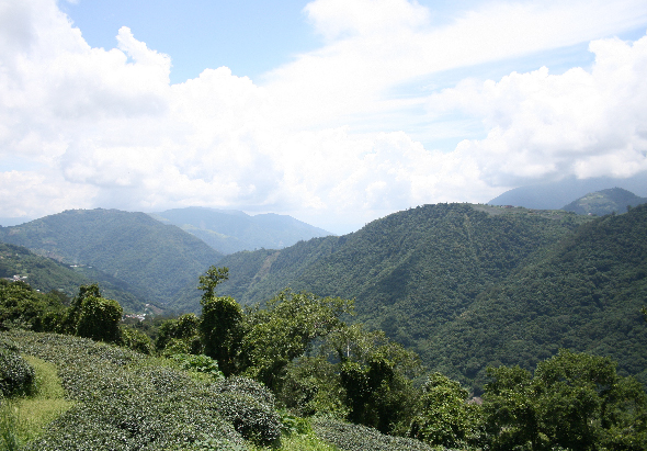 翠綠山巒層層疊疊延伸至遠方，山坡上密布茂密森林植被。前景有灌木叢生，中景可見零散房舍散落山腰。天空萬里無雲，白雲飄浮，遠方山峰若隱若現，呈現壯麗的山地風景。