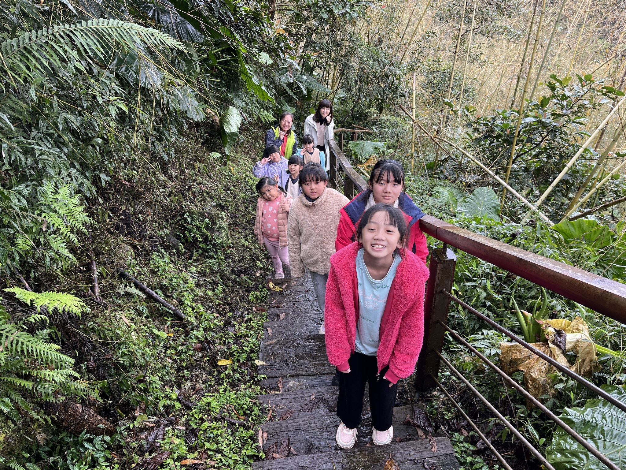一群大人與學童在戶外森林步道健行的合照。從高處往階梯下方俯拍，步道兩側長滿茂密的蕨類植物與竹林。人群沿著石階梯往上走，右手邊有木製扶手。走在最前面的是一位穿著亮粉色毛絨外套的小女孩，開心地抬頭看著鏡頭，後方跟著其他幾名學童與兩位大人。